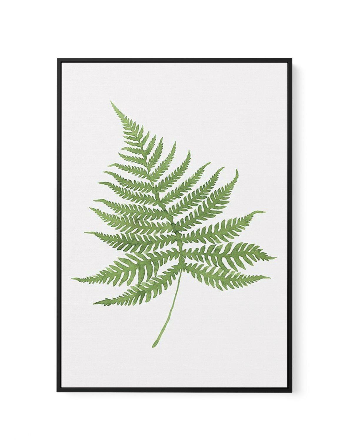 Fern on Grey I | Framed Canvas-CANVAS-You can shop wall art online with Olive et Oriel for everything from abstract art to fun kids wall art. Our beautiful modern art prints and canvas art are available from large canvas prints to wall art paintings and our proudly Australian artwork collection offers only the highest quality framed large wall art and canvas art Australia - You can buy fashion photography prints or Hampton print posters and paintings on canvas from Olive et Oriel and have them d