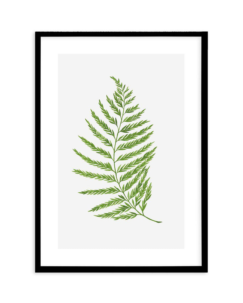 Fern on Grey II Art Print-PRINT-Olive et Oriel-Olive et Oriel-A4 | 8.3" x 11.7" | 21 x 29.7cm-Black-With White Border-Buy-Australian-Art-Prints-Online-with-Olive-et-Oriel-Your-Artwork-Specialists-Austrailia-Decorate-With-Coastal-Photo-Wall-Art-Prints-From-Our-Beach-House-Artwork-Collection-Fine-Poster-and-Framed-Artwork