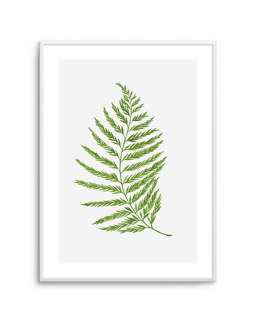 Fern on Grey II Art Print-PRINT-Olive et Oriel-Olive et Oriel-A4 | 8.3" x 11.7" | 21 x 29.7cm-Unframed Art Print-With White Border-Buy-Australian-Art-Prints-Online-with-Olive-et-Oriel-Your-Artwork-Specialists-Austrailia-Decorate-With-Coastal-Photo-Wall-Art-Prints-From-Our-Beach-House-Artwork-Collection-Fine-Poster-and-Framed-Artwork