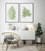 Fern on Grey II | Framed Canvas-CANVAS-You can shop wall art online with Olive et Oriel for everything from abstract art to fun kids wall art. Our beautiful modern art prints and canvas art are available from large canvas prints to wall art paintings and our proudly Australian artwork collection offers only the highest quality framed large wall art and canvas art Australia - You can buy fashion photography prints or Hampton print posters and paintings on canvas from Olive et Oriel and have them 