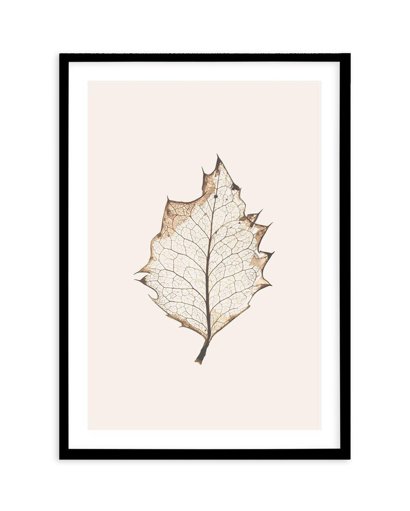 Feuille D'or I Art Print-PRINT-Olive et Oriel-Olive et Oriel-A5 | 5.8" x 8.3" | 14.8 x 21cm-Black-With White Border-Buy-Australian-Art-Prints-Online-with-Olive-et-Oriel-Your-Artwork-Specialists-Austrailia-Decorate-With-Coastal-Photo-Wall-Art-Prints-From-Our-Beach-House-Artwork-Collection-Fine-Poster-and-Framed-Artwork