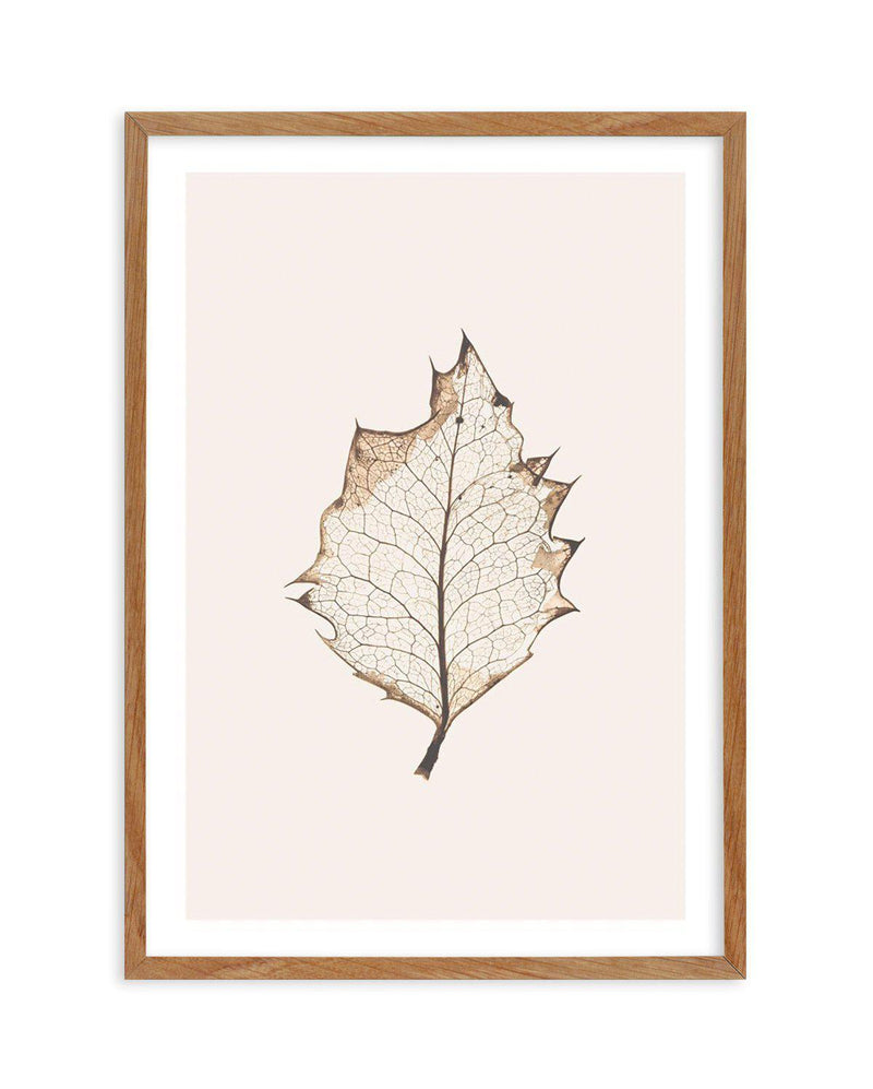 Feuille D'or I Art Print-PRINT-Olive et Oriel-Olive et Oriel-50x70 cm | 19.6" x 27.5"-Walnut-With White Border-Buy-Australian-Art-Prints-Online-with-Olive-et-Oriel-Your-Artwork-Specialists-Austrailia-Decorate-With-Coastal-Photo-Wall-Art-Prints-From-Our-Beach-House-Artwork-Collection-Fine-Poster-and-Framed-Artwork