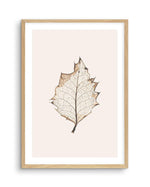 Feuille D'or I Art Print-PRINT-Olive et Oriel-Olive et Oriel-A5 | 5.8" x 8.3" | 14.8 x 21cm-Oak-With White Border-Buy-Australian-Art-Prints-Online-with-Olive-et-Oriel-Your-Artwork-Specialists-Austrailia-Decorate-With-Coastal-Photo-Wall-Art-Prints-From-Our-Beach-House-Artwork-Collection-Fine-Poster-and-Framed-Artwork