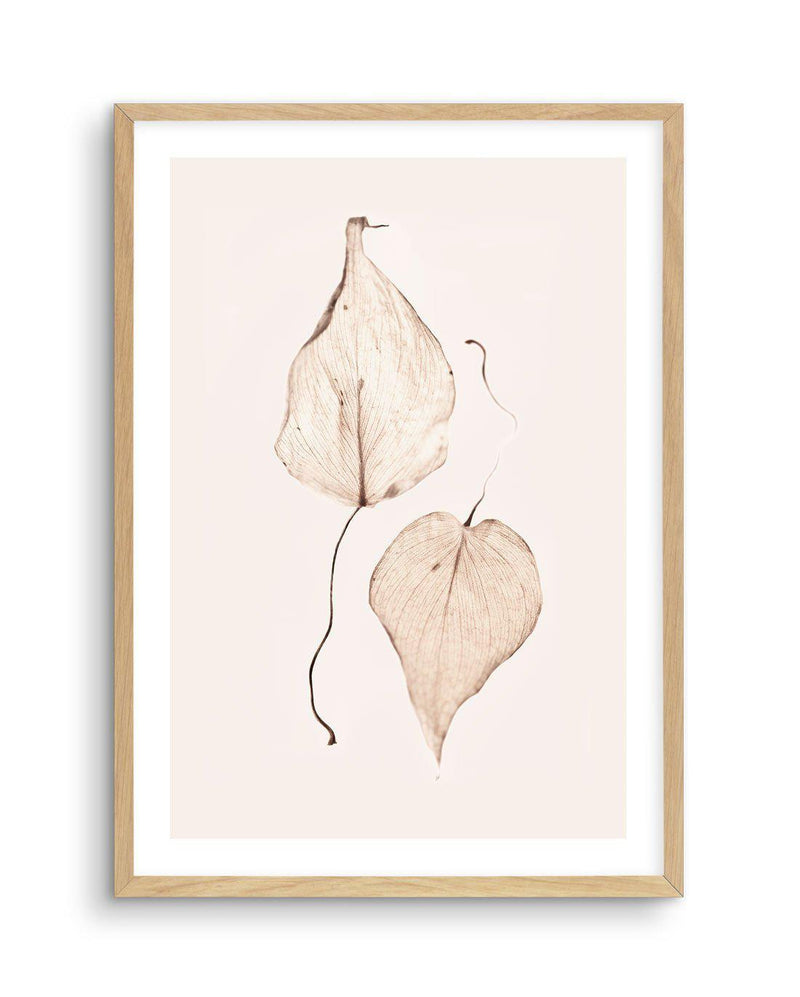 Feuille D'or II Art Print-PRINT-Olive et Oriel-Olive et Oriel-A5 | 5.8" x 8.3" | 14.8 x 21cm-Oak-With White Border-Buy-Australian-Art-Prints-Online-with-Olive-et-Oriel-Your-Artwork-Specialists-Austrailia-Decorate-With-Coastal-Photo-Wall-Art-Prints-From-Our-Beach-House-Artwork-Collection-Fine-Poster-and-Framed-Artwork