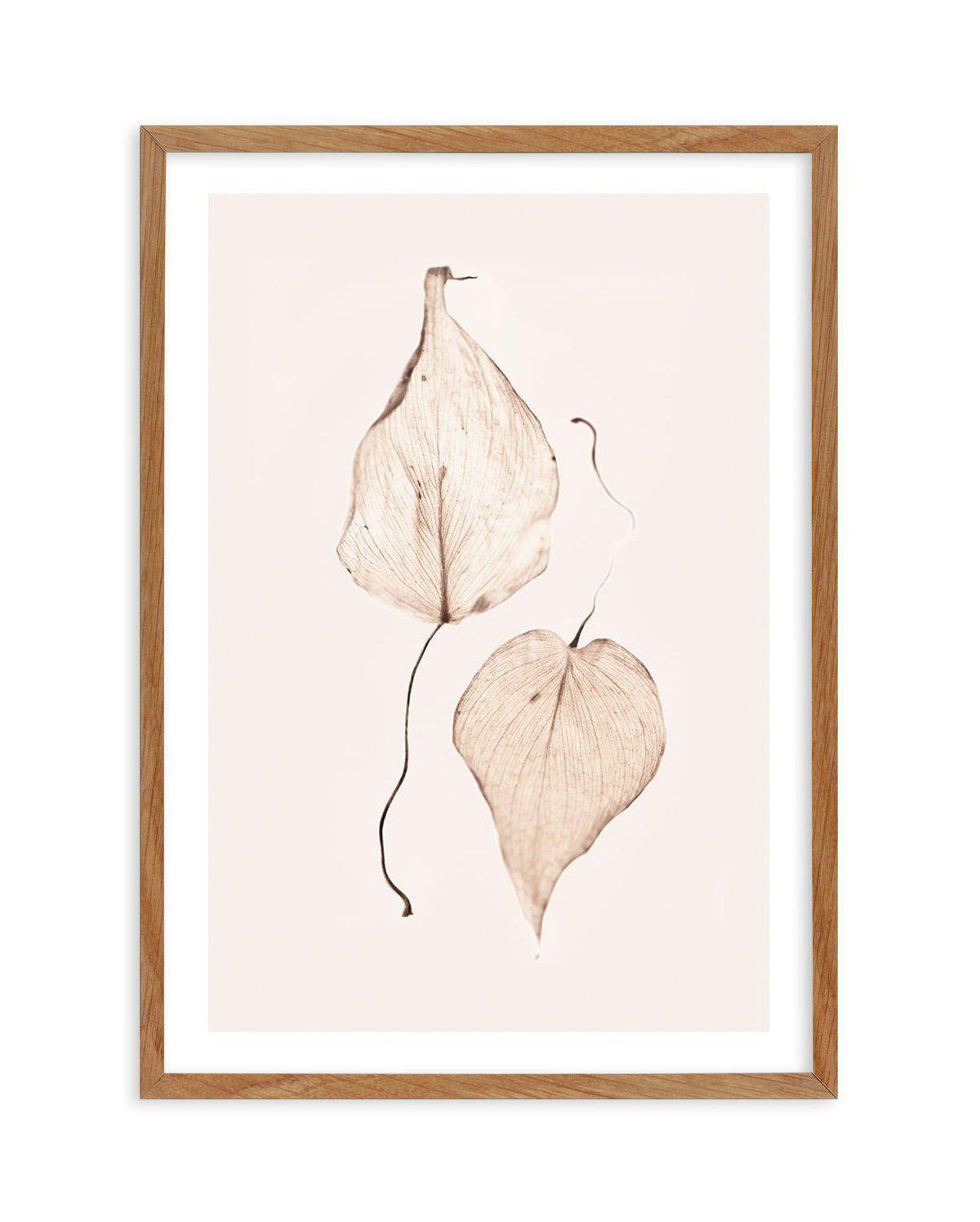 Feuille D'or II Art Print-PRINT-Olive et Oriel-Olive et Oriel-50x70 cm | 19.6" x 27.5"-Walnut-With White Border-Buy-Australian-Art-Prints-Online-with-Olive-et-Oriel-Your-Artwork-Specialists-Austrailia-Decorate-With-Coastal-Photo-Wall-Art-Prints-From-Our-Beach-House-Artwork-Collection-Fine-Poster-and-Framed-Artwork