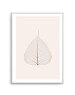 Feuille D'or III Art Print-PRINT-Olive et Oriel-Olive et Oriel-A5 | 5.8" x 8.3" | 14.8 x 21cm-Unframed Art Print-With White Border-Buy-Australian-Art-Prints-Online-with-Olive-et-Oriel-Your-Artwork-Specialists-Austrailia-Decorate-With-Coastal-Photo-Wall-Art-Prints-From-Our-Beach-House-Artwork-Collection-Fine-Poster-and-Framed-Artwork
