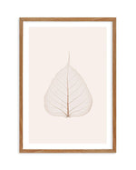 Feuille D'or III Art Print-PRINT-Olive et Oriel-Olive et Oriel-50x70 cm | 19.6" x 27.5"-Walnut-With White Border-Buy-Australian-Art-Prints-Online-with-Olive-et-Oriel-Your-Artwork-Specialists-Austrailia-Decorate-With-Coastal-Photo-Wall-Art-Prints-From-Our-Beach-House-Artwork-Collection-Fine-Poster-and-Framed-Artwork