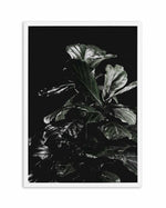 Fiddle Fig Black I Art Print-PRINT-Olive et Oriel-Olive et Oriel-A5 | 5.8" x 8.3" | 14.8 x 21cm-White-With White Border-Buy-Australian-Art-Prints-Online-with-Olive-et-Oriel-Your-Artwork-Specialists-Austrailia-Decorate-With-Coastal-Photo-Wall-Art-Prints-From-Our-Beach-House-Artwork-Collection-Fine-Poster-and-Framed-Artwork