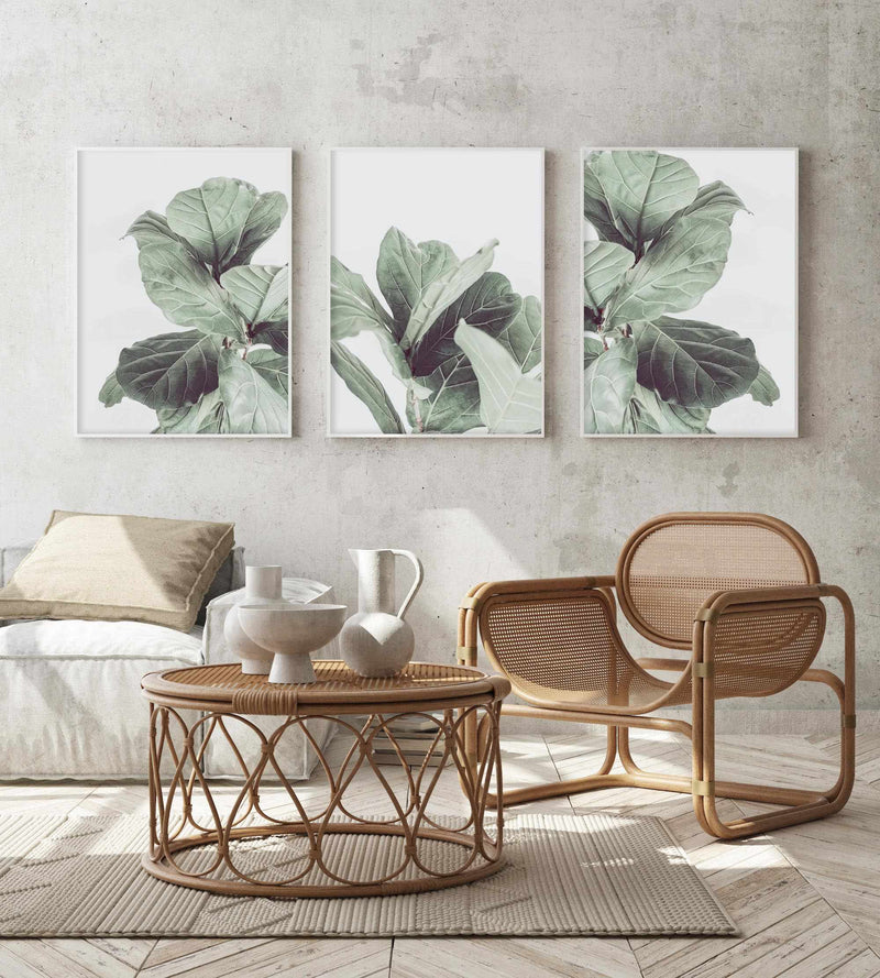 Fiddle Fig II Art Print-PRINT-Olive et Oriel-Olive et Oriel-Buy-Australian-Art-Prints-Online-with-Olive-et-Oriel-Your-Artwork-Specialists-Austrailia-Decorate-With-Coastal-Photo-Wall-Art-Prints-From-Our-Beach-House-Artwork-Collection-Fine-Poster-and-Framed-Artwork