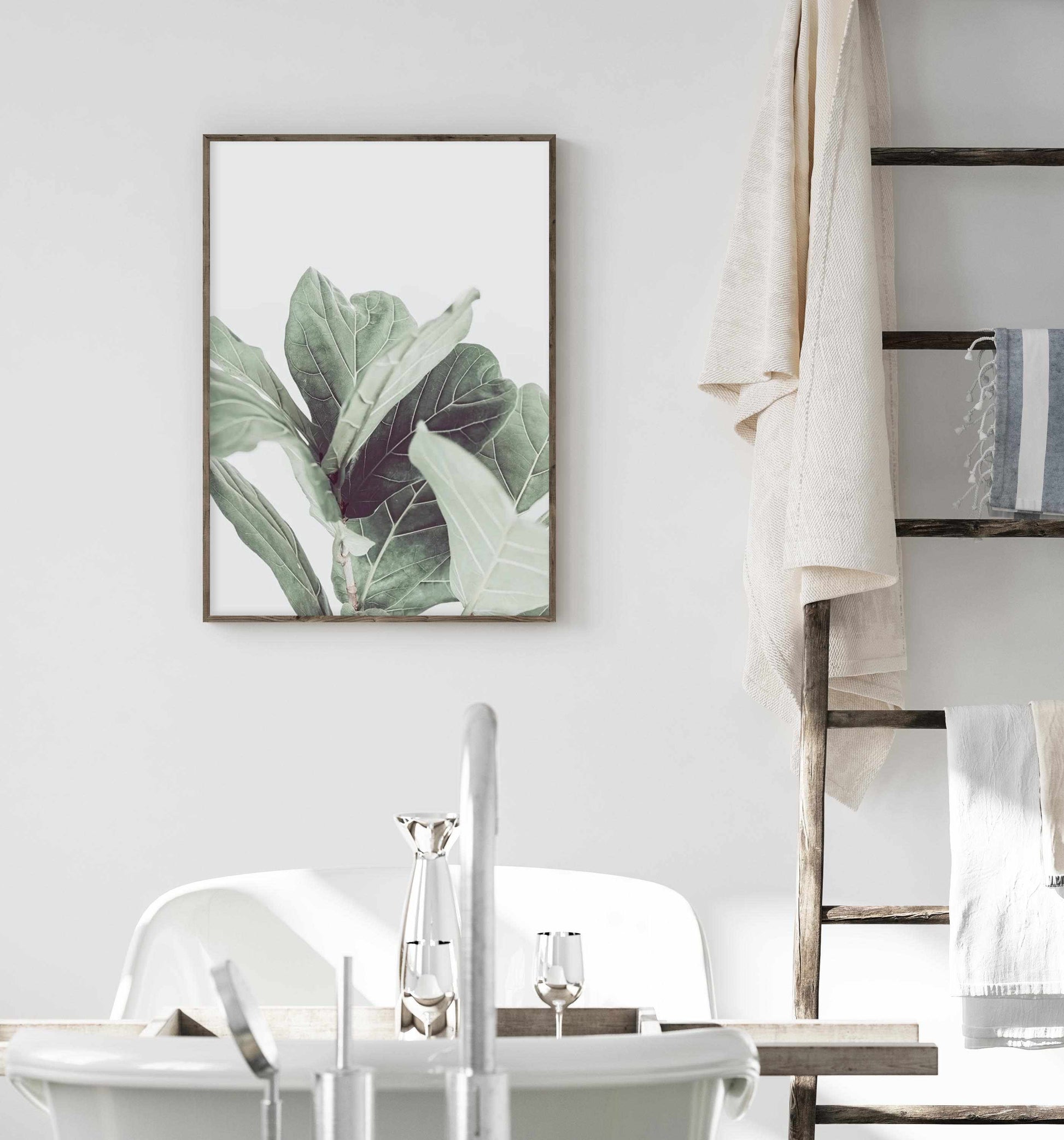 Fiddle Fig II Art Print-PRINT-Olive et Oriel-Olive et Oriel-Buy-Australian-Art-Prints-Online-with-Olive-et-Oriel-Your-Artwork-Specialists-Austrailia-Decorate-With-Coastal-Photo-Wall-Art-Prints-From-Our-Beach-House-Artwork-Collection-Fine-Poster-and-Framed-Artwork