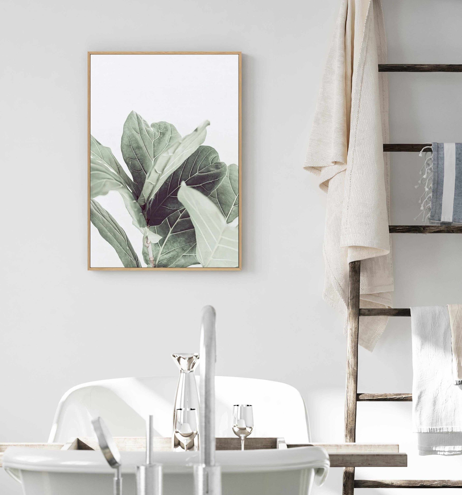 Fiddle Fig II | Framed Canvas-CANVAS-You can shop wall art online with Olive et Oriel for everything from abstract art to fun kids wall art. Our beautiful modern art prints and canvas art are available from large canvas prints to wall art paintings and our proudly Australian artwork collection offers only the highest quality framed large wall art and canvas art Australia - You can buy fashion photography prints or Hampton print posters and paintings on canvas from Olive et Oriel and have them de