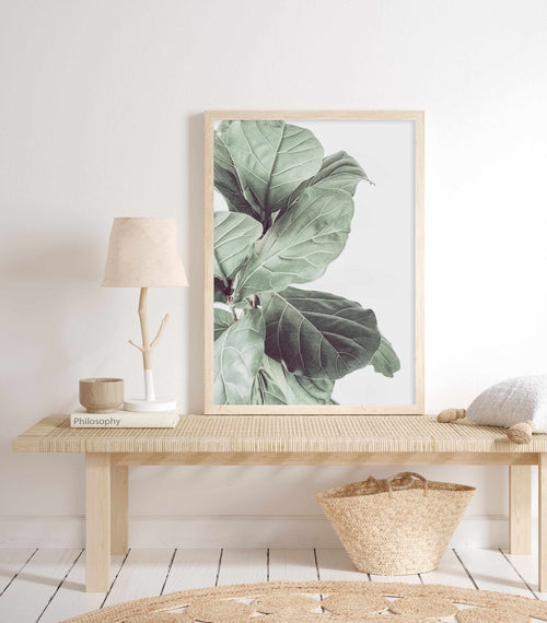 Fiddle Fig III Art Print-PRINT-Olive et Oriel-Olive et Oriel-Buy-Australian-Art-Prints-Online-with-Olive-et-Oriel-Your-Artwork-Specialists-Austrailia-Decorate-With-Coastal-Photo-Wall-Art-Prints-From-Our-Beach-House-Artwork-Collection-Fine-Poster-and-Framed-Artwork