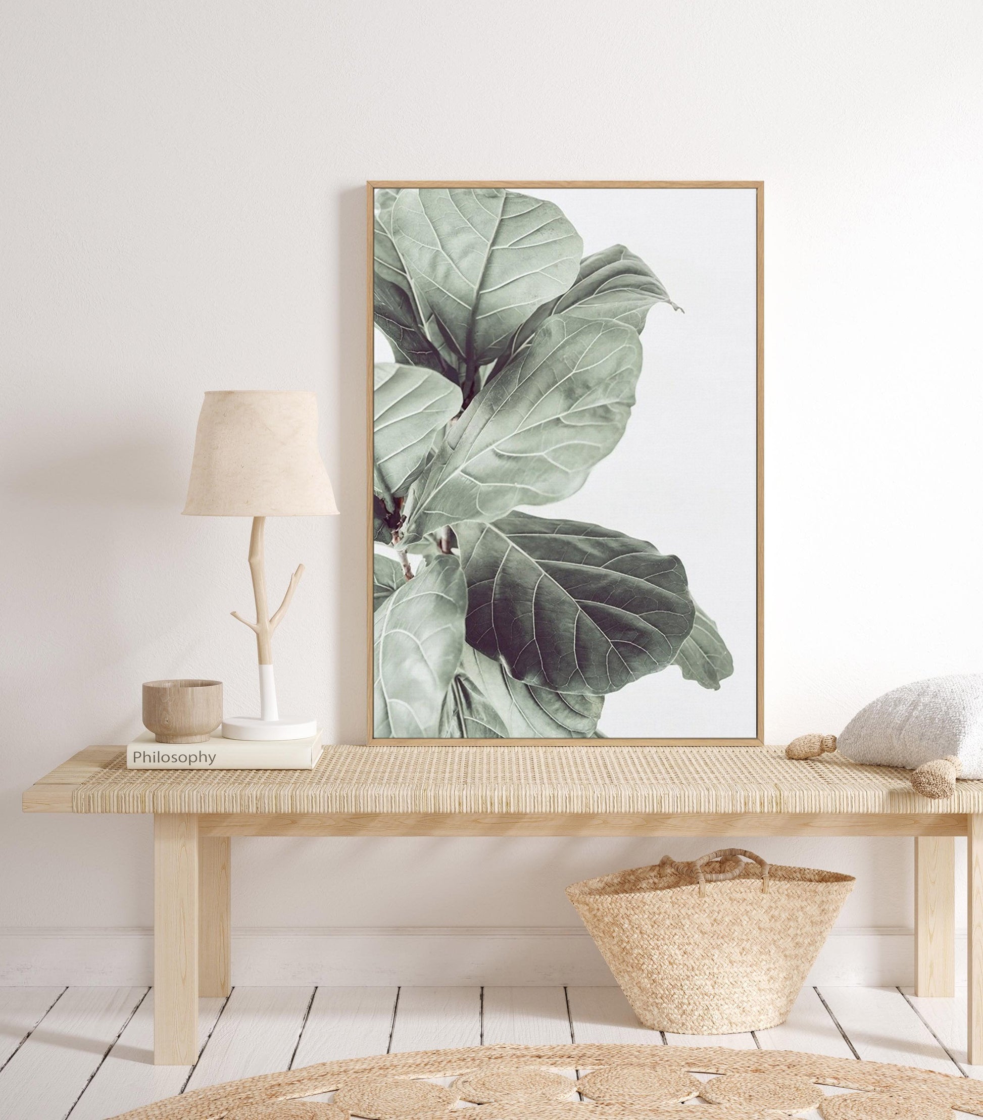 Fiddle Fig III | Framed Canvas-CANVAS-You can shop wall art online with Olive et Oriel for everything from abstract art to fun kids wall art. Our beautiful modern art prints and canvas art are available from large canvas prints to wall art paintings and our proudly Australian artwork collection offers only the highest quality framed large wall art and canvas art Australia - You can buy fashion photography prints or Hampton print posters and paintings on canvas from Olive et Oriel and have them d