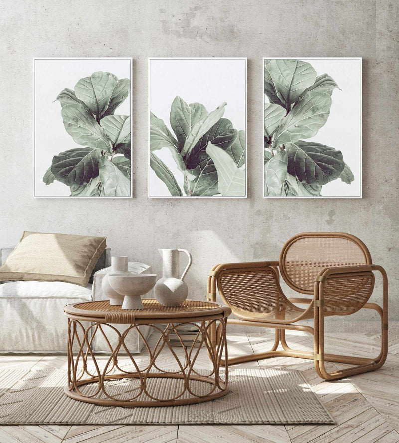 Fiddle Fig III | Framed Canvas-CANVAS-You can shop wall art online with Olive et Oriel for everything from abstract art to fun kids wall art. Our beautiful modern art prints and canvas art are available from large canvas prints to wall art paintings and our proudly Australian artwork collection offers only the highest quality framed large wall art and canvas art Australia - You can buy fashion photography prints or Hampton print posters and paintings on canvas from Olive et Oriel and have them d