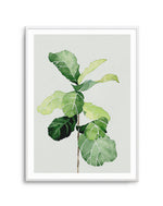 Fiddle Fig in Watercolour I Art Print-PRINT-Olive et Oriel-Olive et Oriel-A4 | 8.3" x 11.7" | 21 x 29.7cm-Unframed Art Print-With White Border-Buy-Australian-Art-Prints-Online-with-Olive-et-Oriel-Your-Artwork-Specialists-Austrailia-Decorate-With-Coastal-Photo-Wall-Art-Prints-From-Our-Beach-House-Artwork-Collection-Fine-Poster-and-Framed-Artwork