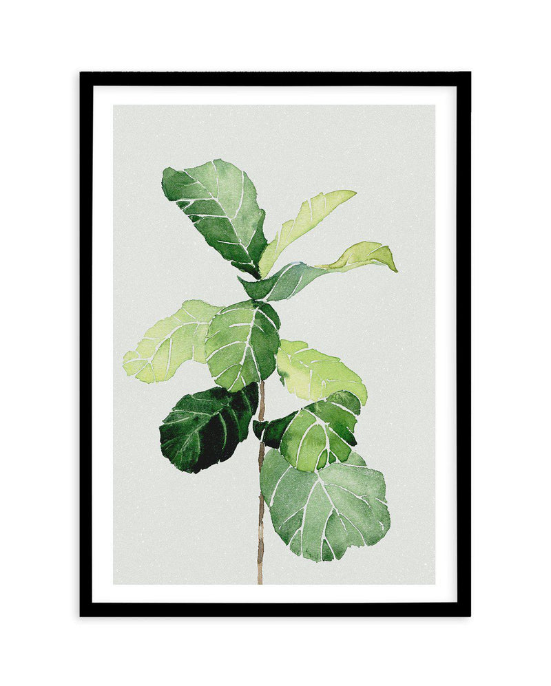 Fiddle Fig in Watercolour I Art Print-PRINT-Olive et Oriel-Olive et Oriel-A4 | 8.3" x 11.7" | 21 x 29.7cm-Black-With White Border-Buy-Australian-Art-Prints-Online-with-Olive-et-Oriel-Your-Artwork-Specialists-Austrailia-Decorate-With-Coastal-Photo-Wall-Art-Prints-From-Our-Beach-House-Artwork-Collection-Fine-Poster-and-Framed-Artwork