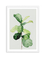 Fiddle Fig in Watercolour I Art Print-PRINT-Olive et Oriel-Olive et Oriel-A4 | 8.3" x 11.7" | 21 x 29.7cm-White-With White Border-Buy-Australian-Art-Prints-Online-with-Olive-et-Oriel-Your-Artwork-Specialists-Austrailia-Decorate-With-Coastal-Photo-Wall-Art-Prints-From-Our-Beach-House-Artwork-Collection-Fine-Poster-and-Framed-Artwork
