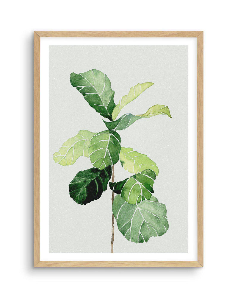 Fiddle Fig in Watercolour I Art Print-PRINT-Olive et Oriel-Olive et Oriel-A4 | 8.3" x 11.7" | 21 x 29.7cm-Oak-With White Border-Buy-Australian-Art-Prints-Online-with-Olive-et-Oriel-Your-Artwork-Specialists-Austrailia-Decorate-With-Coastal-Photo-Wall-Art-Prints-From-Our-Beach-House-Artwork-Collection-Fine-Poster-and-Framed-Artwork