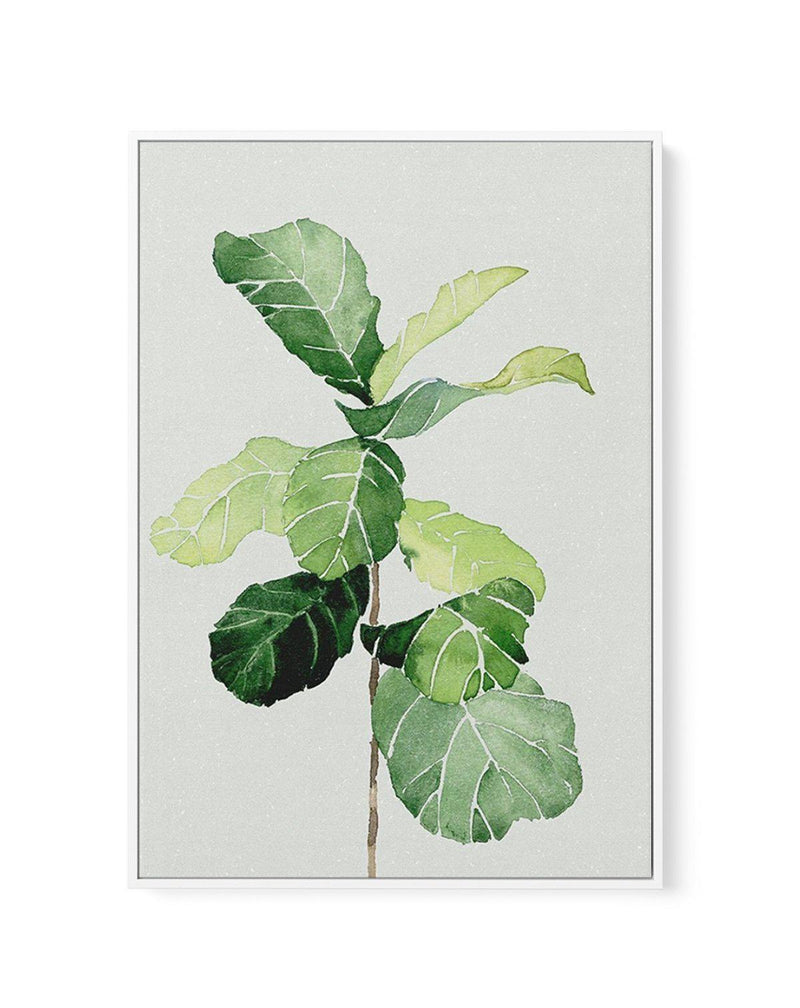 Fiddle Fig in Watercolour I | Framed Canvas-CANVAS-You can shop wall art online with Olive et Oriel for everything from abstract art to fun kids wall art. Our beautiful modern art prints and canvas art are available from large canvas prints to wall art paintings and our proudly Australian artwork collection offers only the highest quality framed large wall art and canvas art Australia - You can buy fashion photography prints or Hampton print posters and paintings on canvas from Olive et Oriel an