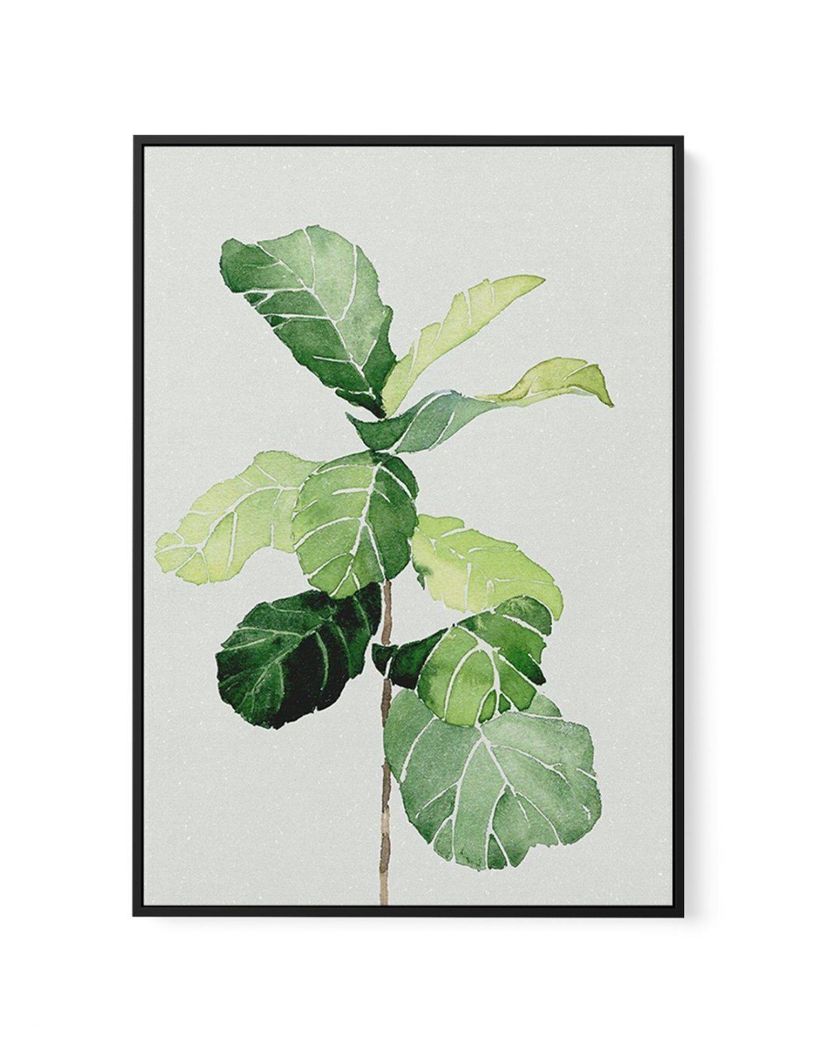 Fiddle Fig in Watercolour I | Framed Canvas-CANVAS-You can shop wall art online with Olive et Oriel for everything from abstract art to fun kids wall art. Our beautiful modern art prints and canvas art are available from large canvas prints to wall art paintings and our proudly Australian artwork collection offers only the highest quality framed large wall art and canvas art Australia - You can buy fashion photography prints or Hampton print posters and paintings on canvas from Olive et Oriel an