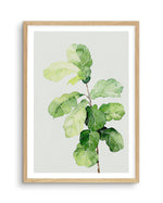 Fiddle Fig in Watercolour II Art Print-PRINT-Olive et Oriel-Olive et Oriel-A4 | 8.3" x 11.7" | 21 x 29.7cm-Oak-With White Border-Buy-Australian-Art-Prints-Online-with-Olive-et-Oriel-Your-Artwork-Specialists-Austrailia-Decorate-With-Coastal-Photo-Wall-Art-Prints-From-Our-Beach-House-Artwork-Collection-Fine-Poster-and-Framed-Artwork