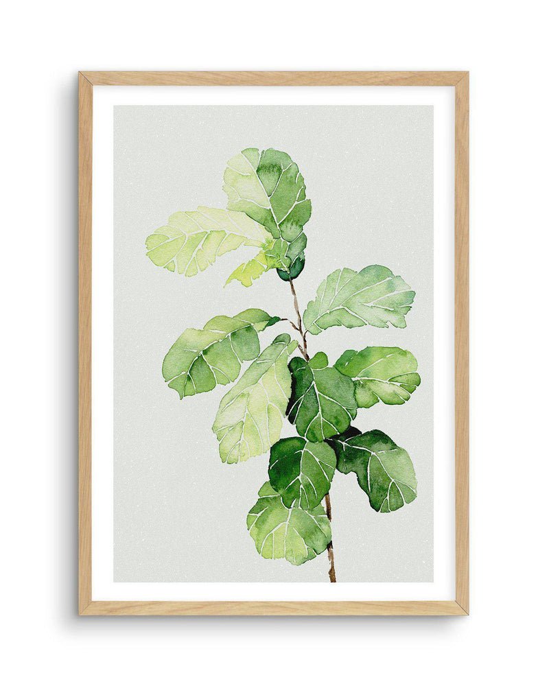 Fiddle Fig in Watercolour II Art Print-PRINT-Olive et Oriel-Olive et Oriel-A4 | 8.3" x 11.7" | 21 x 29.7cm-Oak-With White Border-Buy-Australian-Art-Prints-Online-with-Olive-et-Oriel-Your-Artwork-Specialists-Austrailia-Decorate-With-Coastal-Photo-Wall-Art-Prints-From-Our-Beach-House-Artwork-Collection-Fine-Poster-and-Framed-Artwork