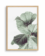 Fiddle Fig I Art Print-PRINT-Olive et Oriel-Olive et Oriel-A4 | 8.3" x 11.7" | 21 x 29.7cm-Oak-With White Border-Buy-Australian-Art-Prints-Online-with-Olive-et-Oriel-Your-Artwork-Specialists-Austrailia-Decorate-With-Coastal-Photo-Wall-Art-Prints-From-Our-Beach-House-Artwork-Collection-Fine-Poster-and-Framed-Artwork