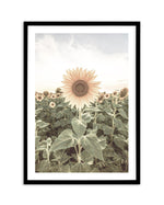 Field of Sunflowers Art Print-PRINT-Olive et Oriel-Olive et Oriel-A5 | 5.8" x 8.3" | 14.8 x 21cm-Black-With White Border-Buy-Australian-Art-Prints-Online-with-Olive-et-Oriel-Your-Artwork-Specialists-Austrailia-Decorate-With-Coastal-Photo-Wall-Art-Prints-From-Our-Beach-House-Artwork-Collection-Fine-Poster-and-Framed-Artwork