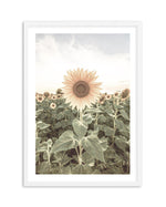 Field of Sunflowers Art Print-PRINT-Olive et Oriel-Olive et Oriel-A5 | 5.8" x 8.3" | 14.8 x 21cm-White-With White Border-Buy-Australian-Art-Prints-Online-with-Olive-et-Oriel-Your-Artwork-Specialists-Austrailia-Decorate-With-Coastal-Photo-Wall-Art-Prints-From-Our-Beach-House-Artwork-Collection-Fine-Poster-and-Framed-Artwork