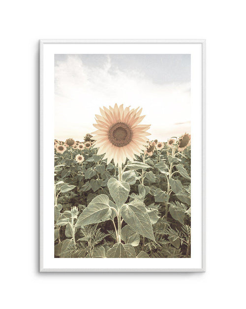 Field of Sunflowers Art Print-PRINT-Olive et Oriel-Olive et Oriel-A5 | 5.8" x 8.3" | 14.8 x 21cm-Unframed Art Print-With White Border-Buy-Australian-Art-Prints-Online-with-Olive-et-Oriel-Your-Artwork-Specialists-Austrailia-Decorate-With-Coastal-Photo-Wall-Art-Prints-From-Our-Beach-House-Artwork-Collection-Fine-Poster-and-Framed-Artwork