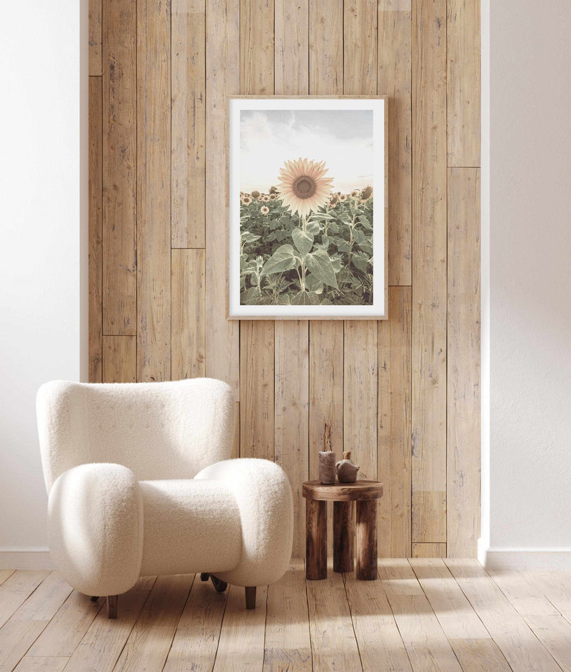 Field of Sunflowers Art Print-PRINT-Olive et Oriel-Olive et Oriel-Buy-Australian-Art-Prints-Online-with-Olive-et-Oriel-Your-Artwork-Specialists-Austrailia-Decorate-With-Coastal-Photo-Wall-Art-Prints-From-Our-Beach-House-Artwork-Collection-Fine-Poster-and-Framed-Artwork