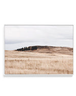 Fields of Gold | LS | Framed Canvas-CANVAS-You can shop wall art online with Olive et Oriel for everything from abstract art to fun kids wall art. Our beautiful modern art prints and canvas art are available from large canvas prints to wall art paintings and our proudly Australian artwork collection offers only the highest quality framed large wall art and canvas art Australia - You can buy fashion photography prints or Hampton print posters and paintings on canvas from Olive et Oriel and have t