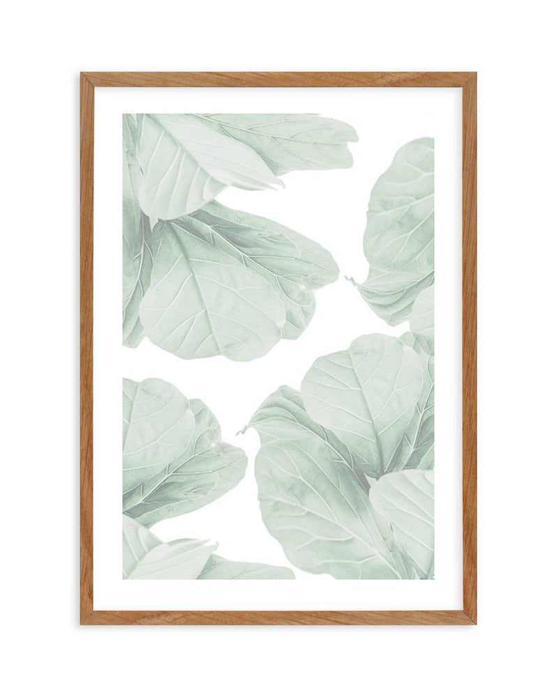 Fig Leaves I Art Print-PRINT-Olive et Oriel-Olive et Oriel-50x70 cm | 19.6" x 27.5"-Walnut-With White Border-Buy-Australian-Art-Prints-Online-with-Olive-et-Oriel-Your-Artwork-Specialists-Austrailia-Decorate-With-Coastal-Photo-Wall-Art-Prints-From-Our-Beach-House-Artwork-Collection-Fine-Poster-and-Framed-Artwork