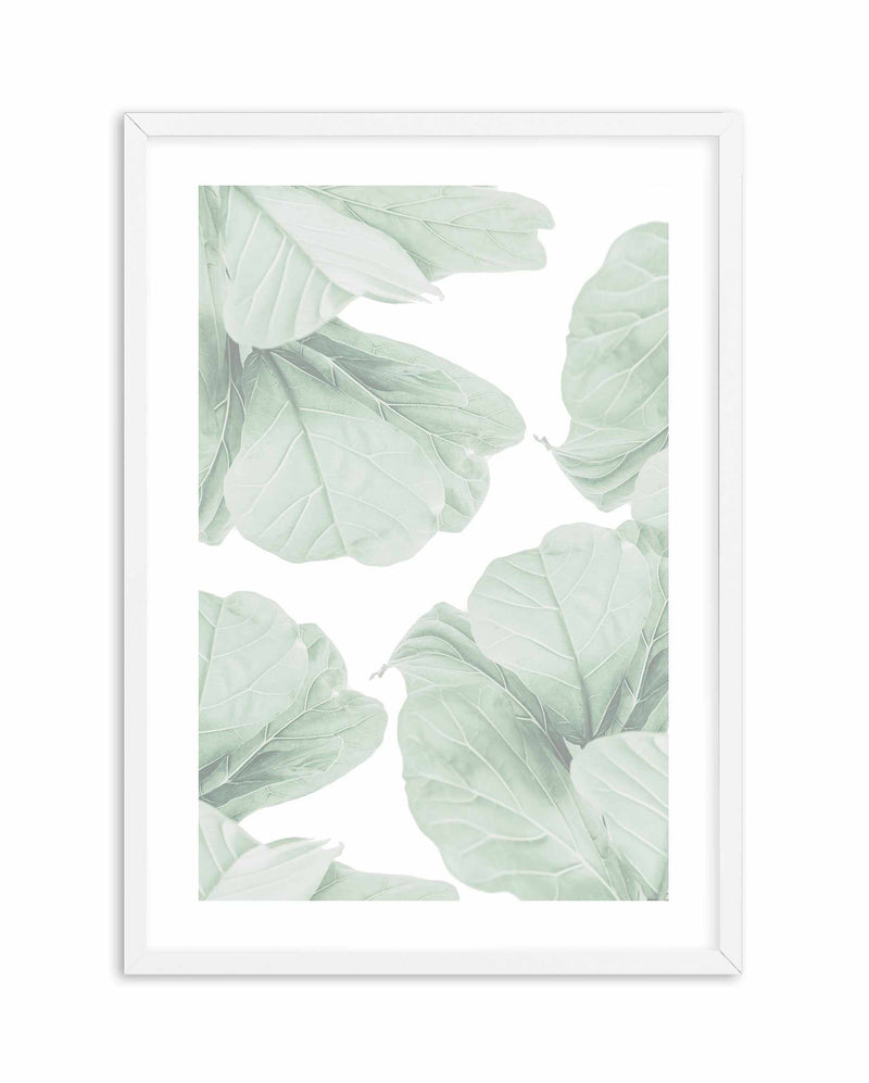 Fig Leaves I Art Print-PRINT-Olive et Oriel-Olive et Oriel-A4 | 8.3" x 11.7" | 21 x 29.7cm-White-With White Border-Buy-Australian-Art-Prints-Online-with-Olive-et-Oriel-Your-Artwork-Specialists-Austrailia-Decorate-With-Coastal-Photo-Wall-Art-Prints-From-Our-Beach-House-Artwork-Collection-Fine-Poster-and-Framed-Artwork