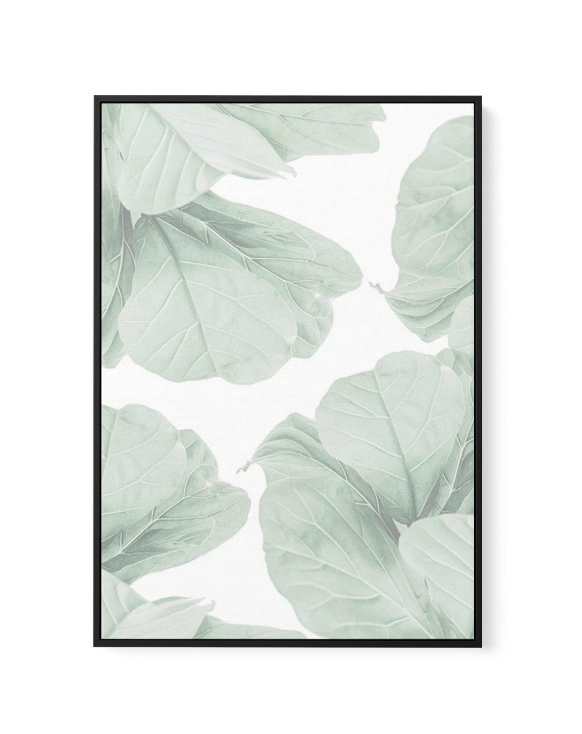 Fig Leaves I | Framed Canvas-CANVAS-You can shop wall art online with Olive et Oriel for everything from abstract art to fun kids wall art. Our beautiful modern art prints and canvas art are available from large canvas prints to wall art paintings and our proudly Australian artwork collection offers only the highest quality framed large wall art and canvas art Australia - You can buy fashion photography prints or Hampton print posters and paintings on canvas from Olive et Oriel and have them del