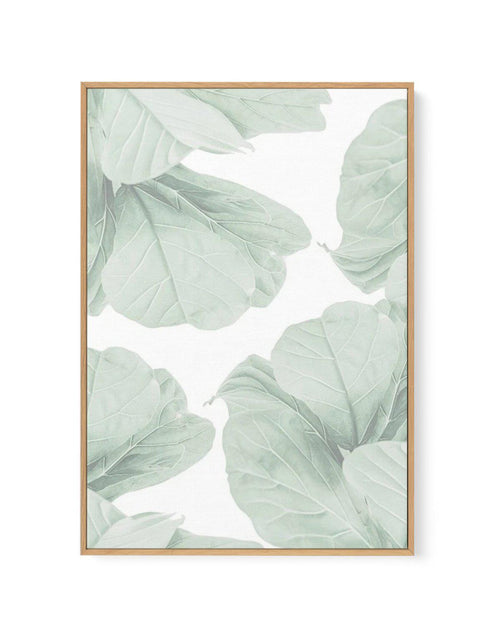 Fig Leaves I | Framed Canvas-CANVAS-You can shop wall art online with Olive et Oriel for everything from abstract art to fun kids wall art. Our beautiful modern art prints and canvas art are available from large canvas prints to wall art paintings and our proudly Australian artwork collection offers only the highest quality framed large wall art and canvas art Australia - You can buy fashion photography prints or Hampton print posters and paintings on canvas from Olive et Oriel and have them del
