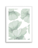 Fig Leaves II Art Print-PRINT-Olive et Oriel-Olive et Oriel-A4 | 8.3" x 11.7" | 21 x 29.7cm-Unframed Art Print-With White Border-Buy-Australian-Art-Prints-Online-with-Olive-et-Oriel-Your-Artwork-Specialists-Austrailia-Decorate-With-Coastal-Photo-Wall-Art-Prints-From-Our-Beach-House-Artwork-Collection-Fine-Poster-and-Framed-Artwork