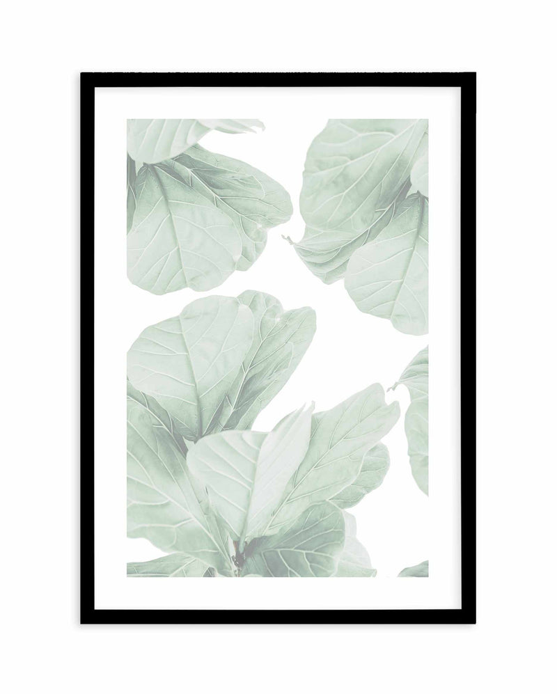 Fig Leaves II Art Print-PRINT-Olive et Oriel-Olive et Oriel-A4 | 8.3" x 11.7" | 21 x 29.7cm-Black-With White Border-Buy-Australian-Art-Prints-Online-with-Olive-et-Oriel-Your-Artwork-Specialists-Austrailia-Decorate-With-Coastal-Photo-Wall-Art-Prints-From-Our-Beach-House-Artwork-Collection-Fine-Poster-and-Framed-Artwork