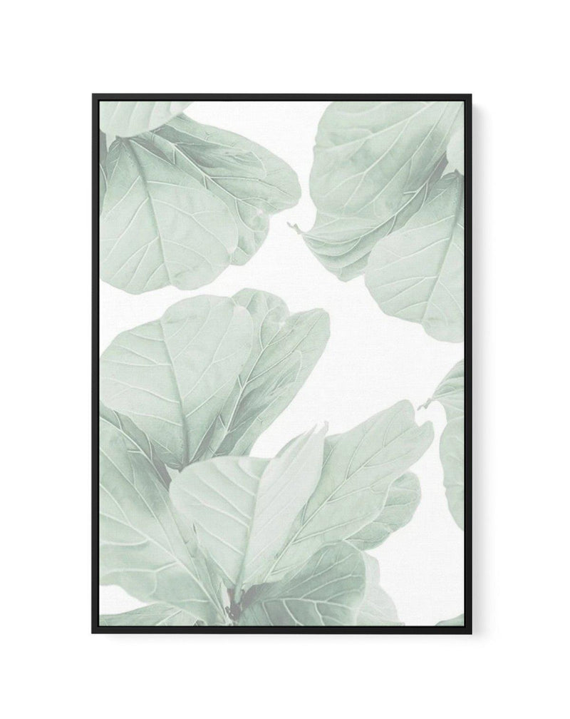Fig Leaves II | Framed Canvas-CANVAS-You can shop wall art online with Olive et Oriel for everything from abstract art to fun kids wall art. Our beautiful modern art prints and canvas art are available from large canvas prints to wall art paintings and our proudly Australian artwork collection offers only the highest quality framed large wall art and canvas art Australia - You can buy fashion photography prints or Hampton print posters and paintings on canvas from Olive et Oriel and have them de