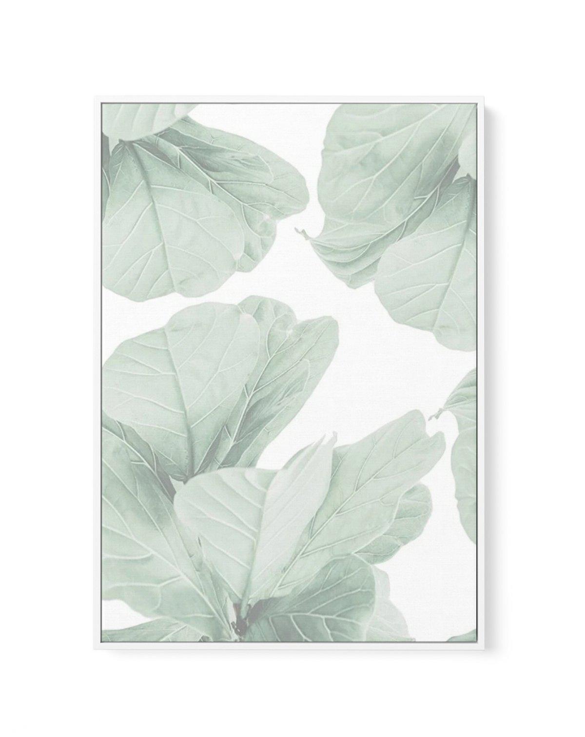 Fig Leaves II | Framed Canvas-CANVAS-You can shop wall art online with Olive et Oriel for everything from abstract art to fun kids wall art. Our beautiful modern art prints and canvas art are available from large canvas prints to wall art paintings and our proudly Australian artwork collection offers only the highest quality framed large wall art and canvas art Australia - You can buy fashion photography prints or Hampton print posters and paintings on canvas from Olive et Oriel and have them de