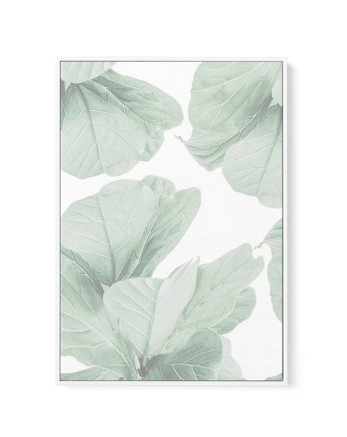 Fig Leaves II | Framed Canvas-CANVAS-You can shop wall art online with Olive et Oriel for everything from abstract art to fun kids wall art. Our beautiful modern art prints and canvas art are available from large canvas prints to wall art paintings and our proudly Australian artwork collection offers only the highest quality framed large wall art and canvas art Australia - You can buy fashion photography prints or Hampton print posters and paintings on canvas from Olive et Oriel and have them de