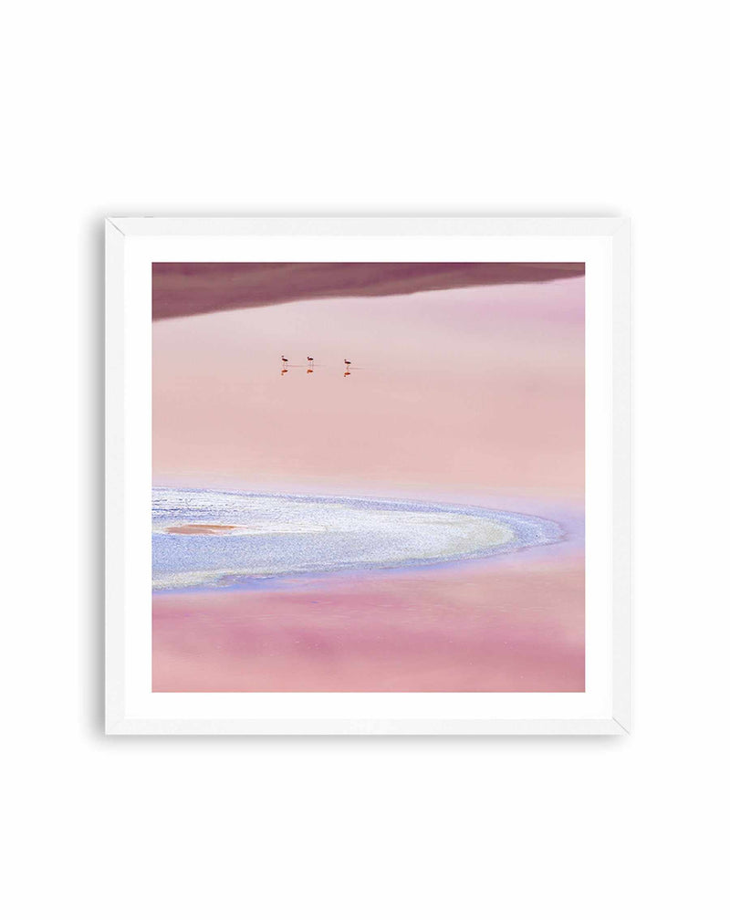Flamingos, Andean Plateau SQ Art Print-PRINT-Olive et Oriel-Olive et Oriel-70x70 cm | 27.5" x 27.5"-White-With White Border-Buy-Australian-Art-Prints-Online-with-Olive-et-Oriel-Your-Artwork-Specialists-Austrailia-Decorate-With-Coastal-Photo-Wall-Art-Prints-From-Our-Beach-House-Artwork-Collection-Fine-Poster-and-Framed-Artwork
