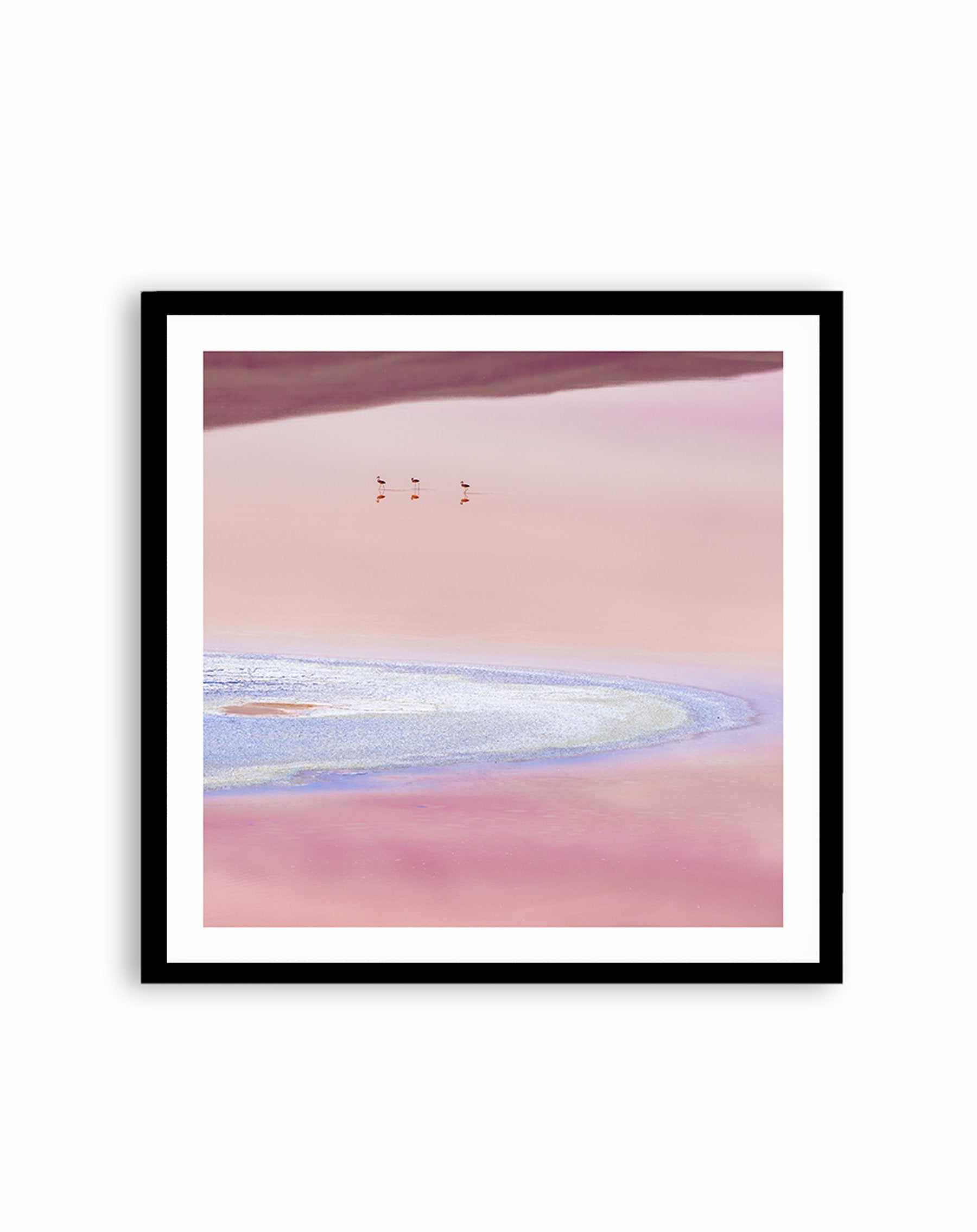 Flamingos, Andean Plateau SQ Art Print-PRINT-Olive et Oriel-Olive et Oriel-70x70 cm | 27.5" x 27.5"-Black-With White Border-Buy-Australian-Art-Prints-Online-with-Olive-et-Oriel-Your-Artwork-Specialists-Austrailia-Decorate-With-Coastal-Photo-Wall-Art-Prints-From-Our-Beach-House-Artwork-Collection-Fine-Poster-and-Framed-Artwork