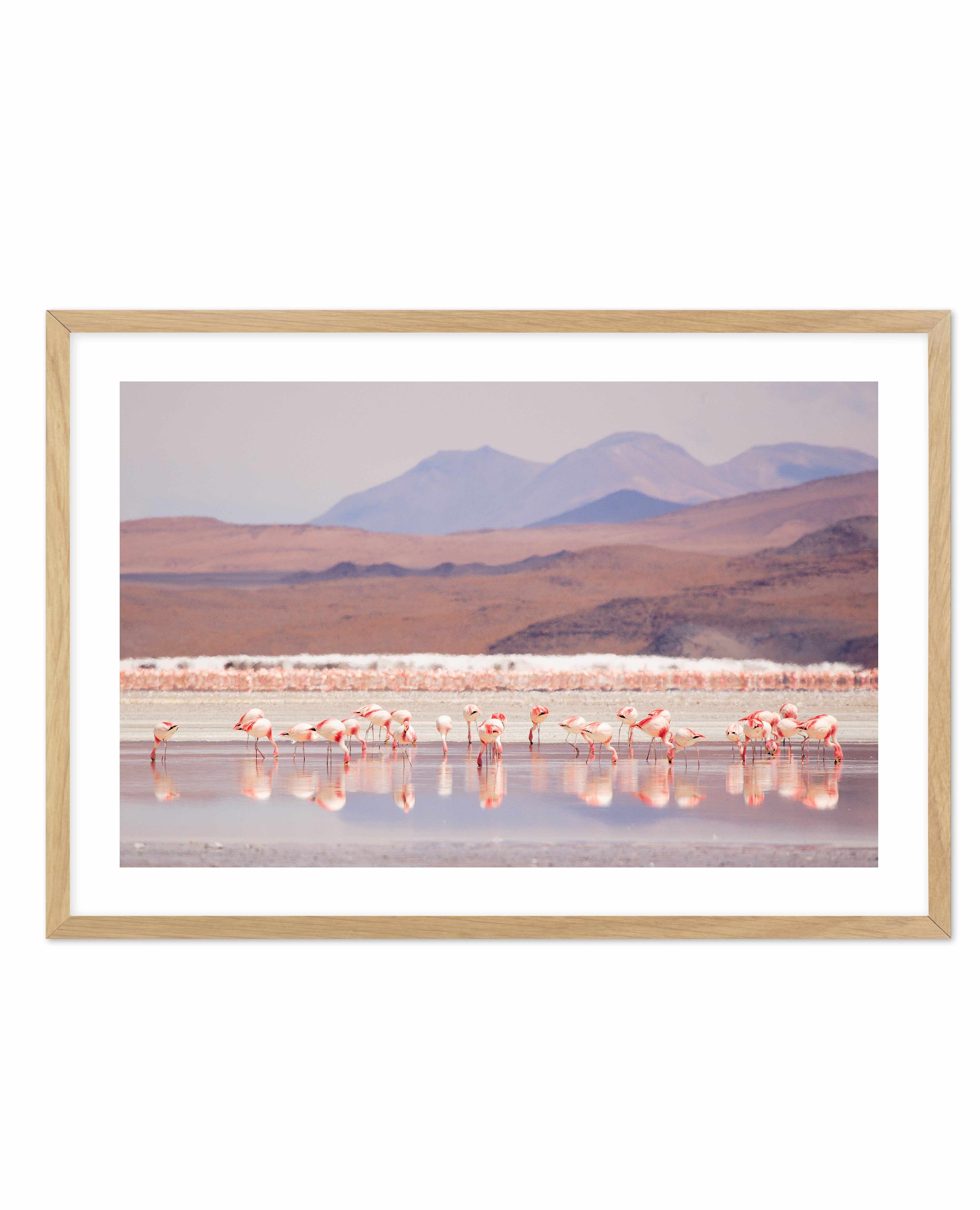 Flamingos | LS Art Print-PRINT-Olive et Oriel-Olive et Oriel-A5 | 5.8" x 8.3" | 14.8 x 21cm-Oak-With White Border-Buy-Australian-Art-Prints-Online-with-Olive-et-Oriel-Your-Artwork-Specialists-Austrailia-Decorate-With-Coastal-Photo-Wall-Art-Prints-From-Our-Beach-House-Artwork-Collection-Fine-Poster-and-Framed-Artwork