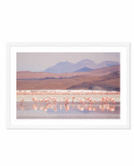 Flamingos | LS Art Print-PRINT-Olive et Oriel-Olive et Oriel-A5 | 5.8" x 8.3" | 14.8 x 21cm-White-With White Border-Buy-Australian-Art-Prints-Online-with-Olive-et-Oriel-Your-Artwork-Specialists-Austrailia-Decorate-With-Coastal-Photo-Wall-Art-Prints-From-Our-Beach-House-Artwork-Collection-Fine-Poster-and-Framed-Artwork
