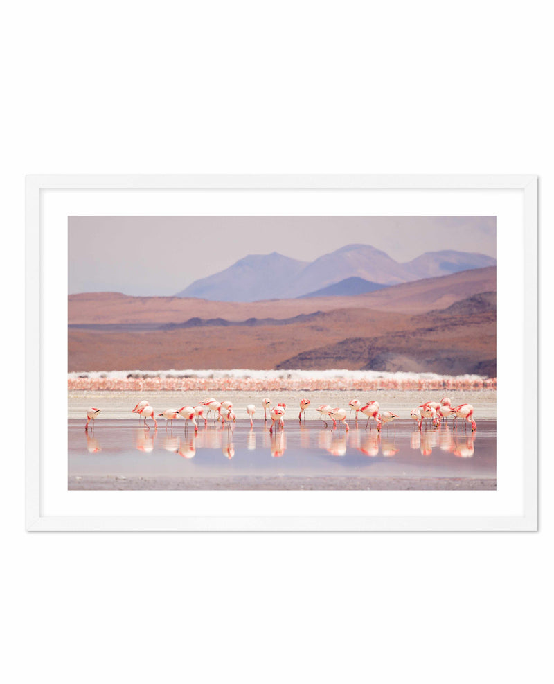 Flamingos | LS Art Print-PRINT-Olive et Oriel-Olive et Oriel-A5 | 5.8" x 8.3" | 14.8 x 21cm-White-With White Border-Buy-Australian-Art-Prints-Online-with-Olive-et-Oriel-Your-Artwork-Specialists-Austrailia-Decorate-With-Coastal-Photo-Wall-Art-Prints-From-Our-Beach-House-Artwork-Collection-Fine-Poster-and-Framed-Artwork