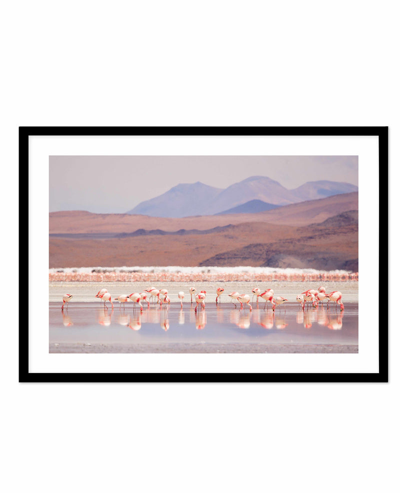 Flamingos | LS Art Print-PRINT-Olive et Oriel-Olive et Oriel-A5 | 5.8" x 8.3" | 14.8 x 21cm-Black-With White Border-Buy-Australian-Art-Prints-Online-with-Olive-et-Oriel-Your-Artwork-Specialists-Austrailia-Decorate-With-Coastal-Photo-Wall-Art-Prints-From-Our-Beach-House-Artwork-Collection-Fine-Poster-and-Framed-Artwork