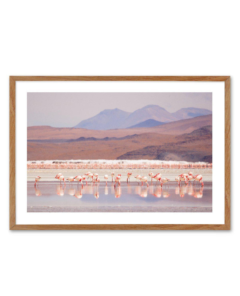 Flamingos | LS Art Print-PRINT-Olive et Oriel-Olive et Oriel-50x70 cm | 19.6" x 27.5"-Walnut-With White Border-Buy-Australian-Art-Prints-Online-with-Olive-et-Oriel-Your-Artwork-Specialists-Austrailia-Decorate-With-Coastal-Photo-Wall-Art-Prints-From-Our-Beach-House-Artwork-Collection-Fine-Poster-and-Framed-Artwork