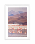 Flamingos | PT Art Print-PRINT-Olive et Oriel-Olive et Oriel-A5 | 5.8" x 8.3" | 14.8 x 21cm-White-With White Border-Buy-Australian-Art-Prints-Online-with-Olive-et-Oriel-Your-Artwork-Specialists-Austrailia-Decorate-With-Coastal-Photo-Wall-Art-Prints-From-Our-Beach-House-Artwork-Collection-Fine-Poster-and-Framed-Artwork