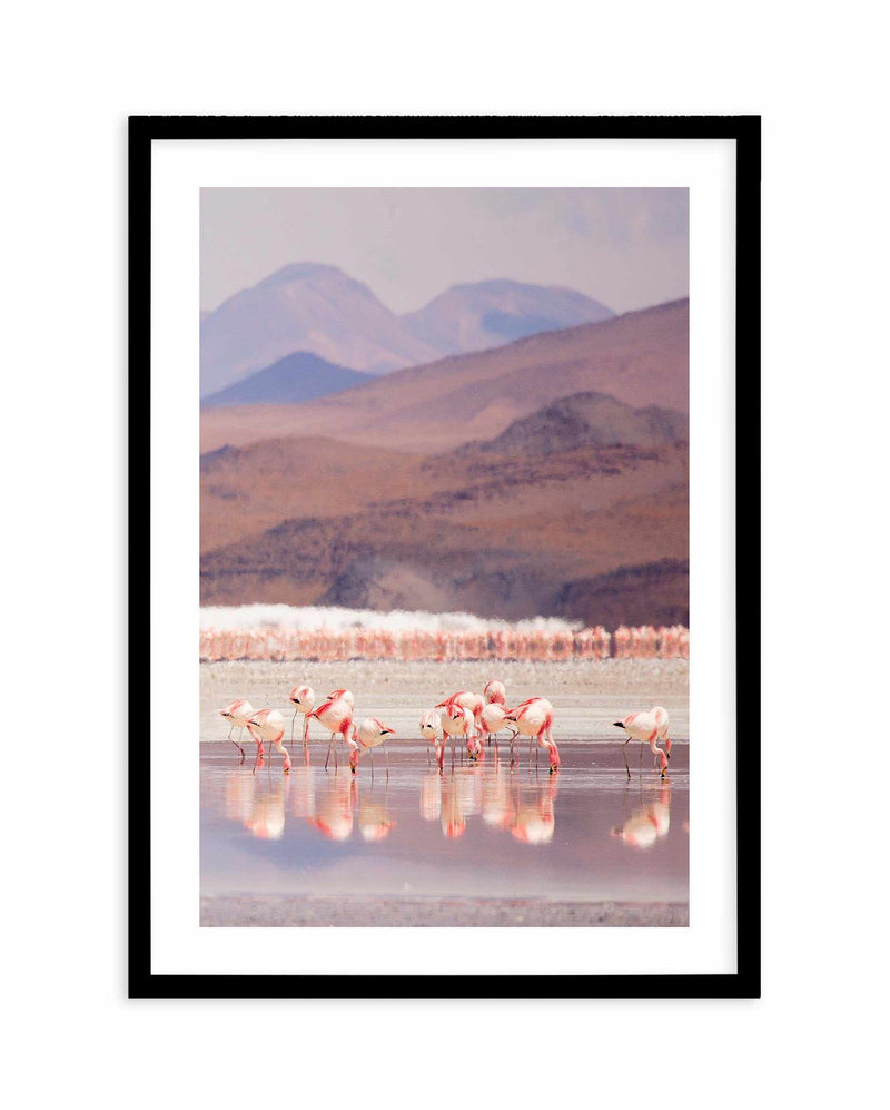 Flamingos | PT Art Print-PRINT-Olive et Oriel-Olive et Oriel-A5 | 5.8" x 8.3" | 14.8 x 21cm-Black-With White Border-Buy-Australian-Art-Prints-Online-with-Olive-et-Oriel-Your-Artwork-Specialists-Austrailia-Decorate-With-Coastal-Photo-Wall-Art-Prints-From-Our-Beach-House-Artwork-Collection-Fine-Poster-and-Framed-Artwork